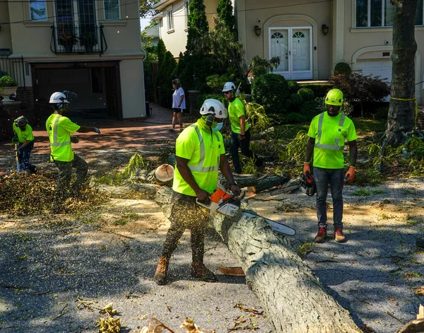 Brooklyn New York August 2020 New York City Parks Crew Stock Picture