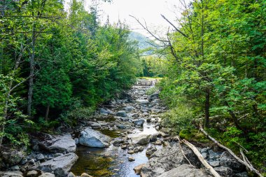 New York 'un kuzeyindeki Adirondack Eyalet Parkı' nın Yüksek Tepeler Vahşi Arazisinde Çığ Gölü Duruşması 