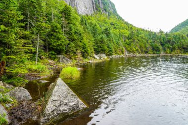 New York 'un kuzeyindeki Adirondack Eyalet Parkı' nın Yüksek Tepeler Yaban Alanı 'ndaki Avalanche Gölü 