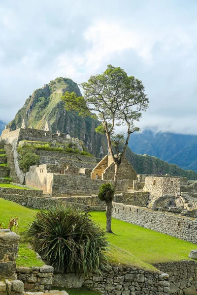 Ruiny Machu Picchu Peru Jest Wpisany Listę Światowego Dziedzictwa Unesco — Zdjęcie stockowe