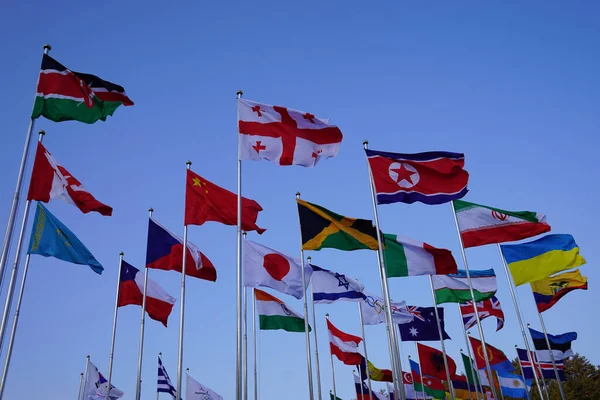 Bandeiras Mundo — Fotografia de Stock