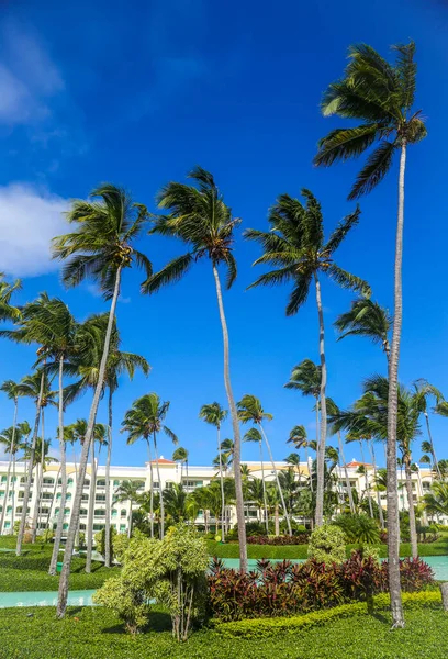 Punta Cana Republika Dominiczna Grudzień 2018 Iberostar Grand Hotel Bavaro — Zdjęcie stockowe