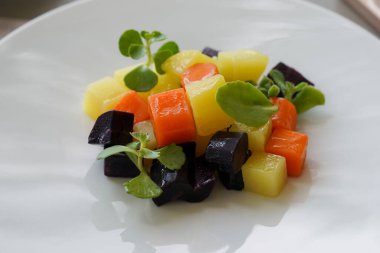 Gurme lokantasında vejetaryen meze servisi.