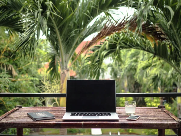 laptop on desk,  green tropical plants on background