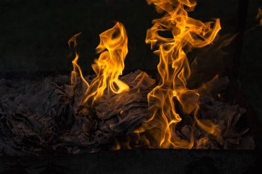 Yanan ateş. Yanan belgeleri. Ateş ruhları dans. Ateşleme kağıt.