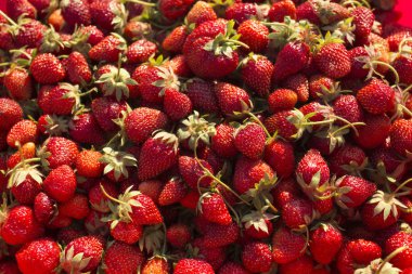 Olgun çilek. Bir sürü olgun meyveleri. Lezzetli vejetaryen tatlı.