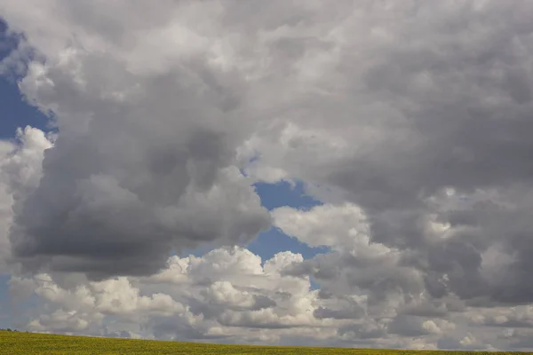 Clouds over the field with sunflower. Summer landscape.