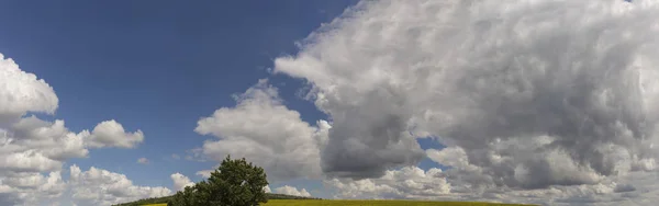 Σύννεφα Πάνω Από Πεδίο Ηλιέλαιο Καλοκαιρινό Τοπίο — Φωτογραφία Αρχείου