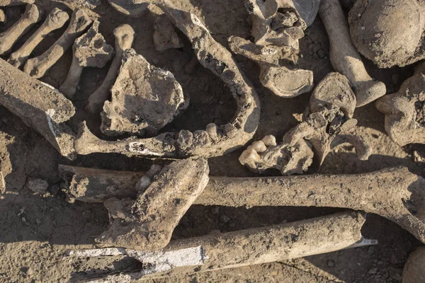 Osmanlı mirası. Yürütülen insanların mezar açma. Bender Kalesi ölüm kulede yakınındaki mezar. Türkler tarafından yürütülen insan kemikleri.