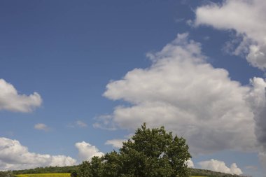 Bulutlar bir ayçiçeği ile bir alanın üzerinde.