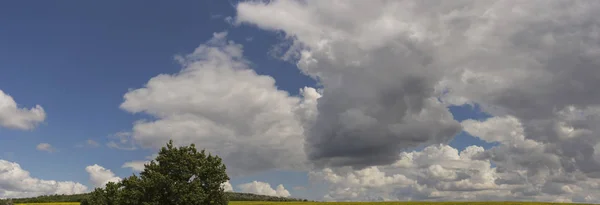 Σύννεφα Πάνω Από Ένα Πεδίο Ένα Ηλιοτρόπιο — Φωτογραφία Αρχείου