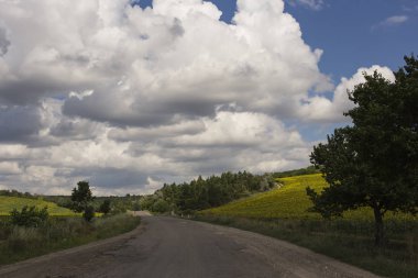 Bulutlar bir ayçiçeği ile bir alanın üzerinde.