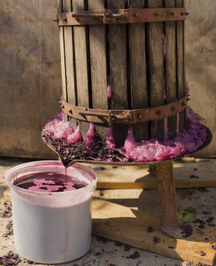 Wine-making. Technology of wine production. The folk tradition of making wine. Wine production in Moldova. The ancient tradition of grape processing. The squeezer is used to press the wine.  clipart