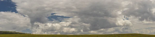 Clouds Field Sunflower — Stock Photo, Image