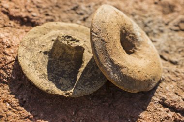 Sürahi, Amfora, kaymaktaşı, lekythos, psykter, hydria kapağı. Kazı antik Yunan medeniyeti. Şaraphane Byala antik kale içinde. Şarap depoları 5. yy.
