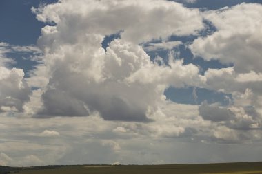 Bulutlar bir ayçiçeği ile bir alanın üzerinde.