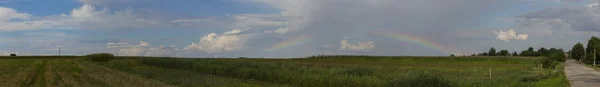 Corn field in the countryside. Rainbow after a thunderstorm.