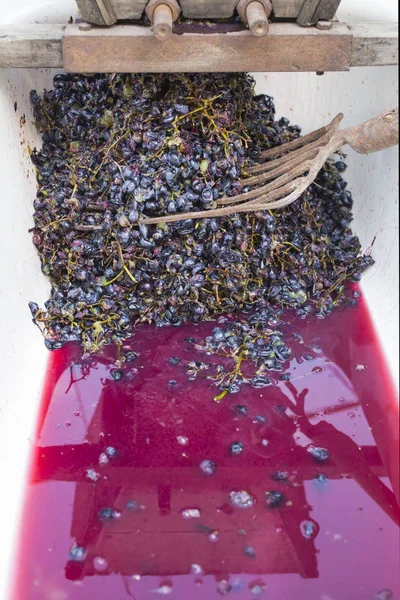 Elaboración Tecnología Producción Vino Tradición Popular Hacer Vino Producción Vino — Foto de Stock