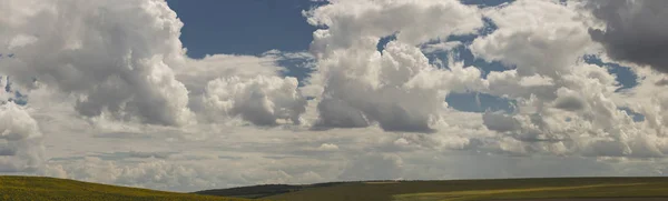 Nubes Sobre Campo Con Girasol —  Fotos de Stock
