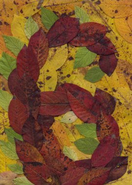 Alfabeyi altı numara var. Sayısal karakterler sıralı dizi. Kiraz yaprakları sonbahar bileşimi. Doğal malzemeler yüzeyi ile dekore edilmiştir. Sebze arka plan.