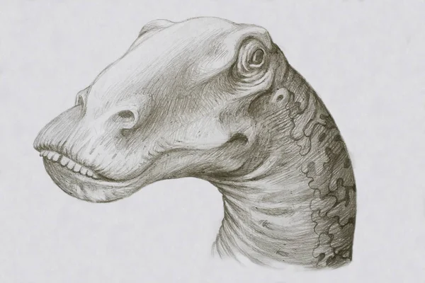 Portrait Sauropod Diplodocus Paleontological Illustrations — Stock Photo, Image