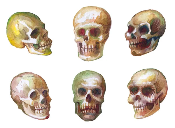 Bocetos Acuarela Cráneos Dibujo Pintura Sobre Papel Patrón Tejido Sin — Foto de Stock