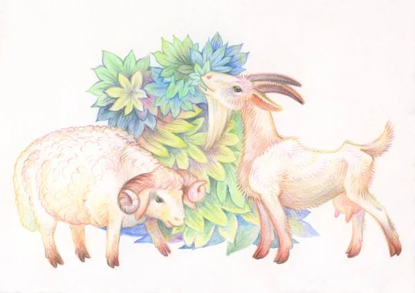 Bleistiftzeichnung Illustration Für Kinder Bild Von Tieren Mit Buntstiften Ziegen — Stockfoto