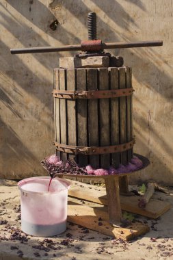 Wine-making. Technology of wine production. The folk tradition of making wine. Wine production in Moldova. The ancient tradition of grape processing. The squeezer is used to press the wine.  clipart