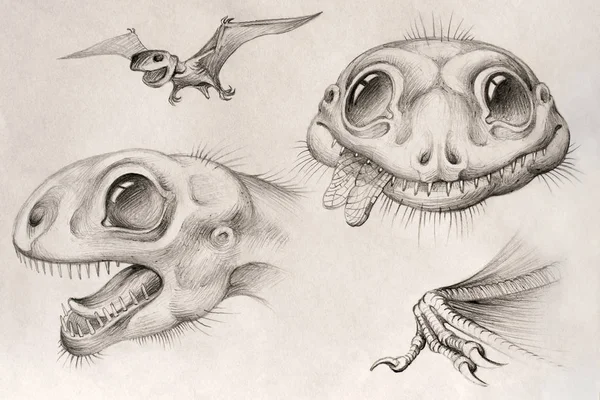 Анурогнат Палеонтологические Иллюстрации Портрет Птерозавра Ископаемые Птицы — стоковое фото