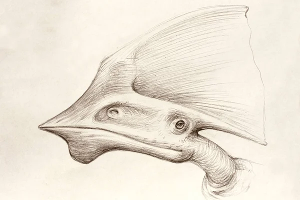 Paleontologische Illustraties Portret Van Een Pterosauriër Fossiele Vogels Tupandactylus — Stockfoto