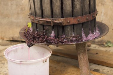 Şarap yapma. Şarap üretim teknolojisi. Şarap yapma halk geleneği. Moldova şarap üretimi. Üzüm işleme eski geleneği. Sıkacağı şarap basın için kullanılır. 