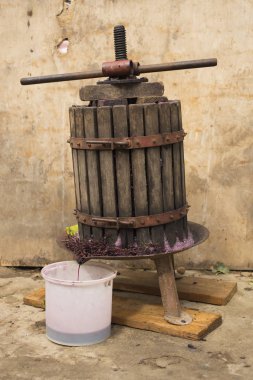 Şarap yapma. Şarap üretim teknolojisi. Şarap yapma halk geleneği. Moldova şarap üretimi. Üzüm işleme eski geleneği. Sıkacağı şarap basın için kullanılır. 