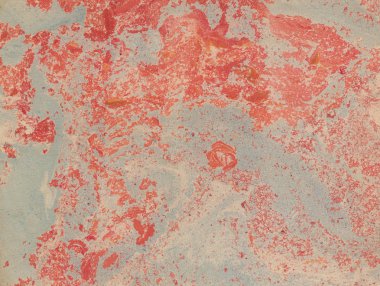 Kağıt üzerinde boya lekesi. Su sıçramalarına ve noktalar boya doku. Ebru - antik teknik çizim oryantal. Kaotik soyut organik tasarım. Marbleized.