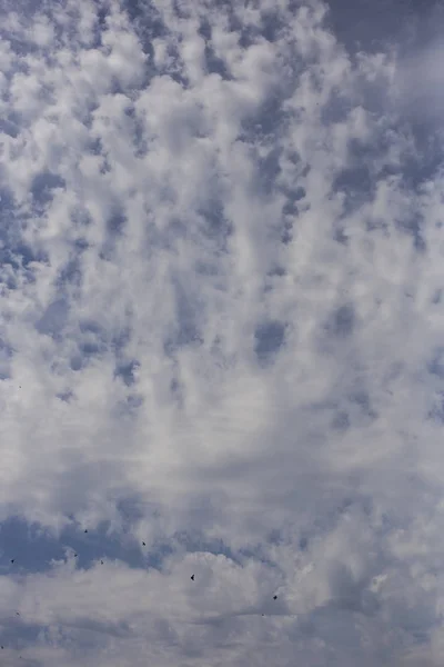 Spindrift clouds of good weather on blue sky. Fantastic skies on the planet earth. The sun is hidden.