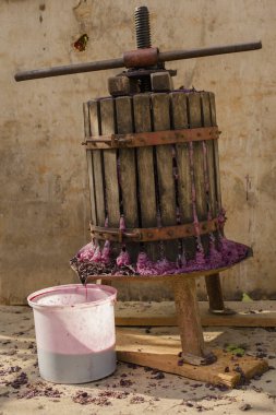 Şarap yapma. Şarap üretim teknolojisi. Şarap yapma halk geleneği. Moldova şarap üretimi. Üzüm işleme eski geleneği. Sıkacağı şarap basın için kullanılır. 