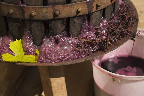 Elaboración Vino Tecnología Producción Vino Tradición Popular Hacer Vino Producción — Foto de Stock