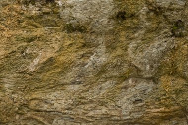 Paleogeological nesnesi 