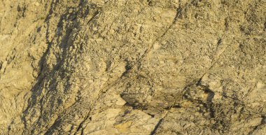 Paleogeological nesnesi 