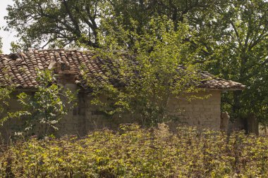 Terk edilmiş evler'de Bulgaristan. Güney-Doğu Avrupa'nın ölmek üzere olan yerleşim yerleri.