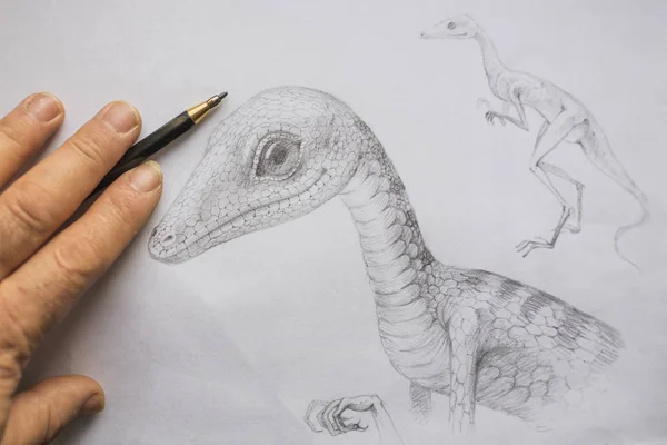 Scleromochlus Paleontologische Illustraties Portret Van Een Avemetatarsalians Fossiele Van Trias — Stockfoto