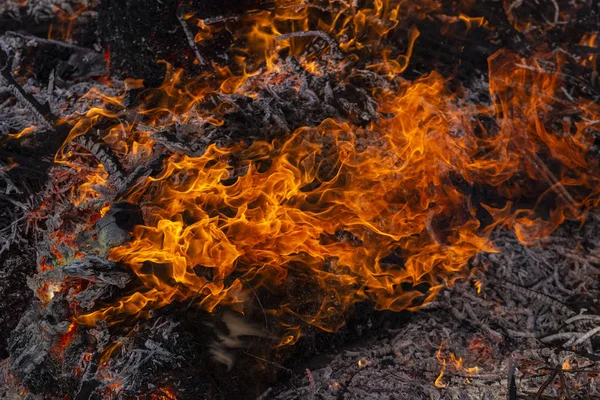 Fuego Ardiente Una Gran Hoguera Shrovetide Ardiendo Ramas Árboles Gente — Foto de Stock