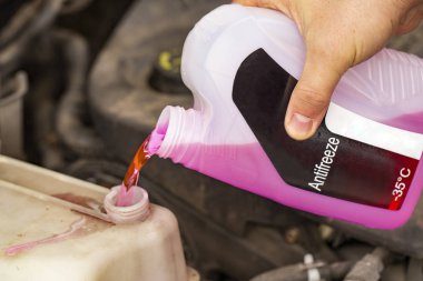 Araba Servisi. Antifriz motor içine dökme.
