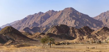 Mısır. Bedouin köyü. Sina Dağı (Horeb Dağı, Gabal musa, Musa Dağı). Hac yeri ve ünlü turistik destinasyon.