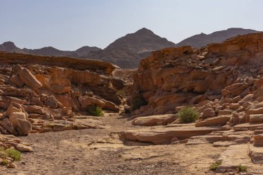 Renkli Kanyon, Sina yarımadasında bir kaya oluşumudur. Nuweiba, Mısır manzarası.