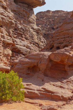 Renkli Kanyon, Sina yarımadasında bir kaya oluşumudur. Nuweiba, Mısır manzarası.