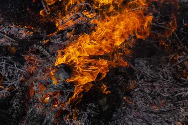 Flammande Eld Brinnande Trädgrenar Hednisk Rit Tillägnad Vårens Ankomst Stor — Stockfoto