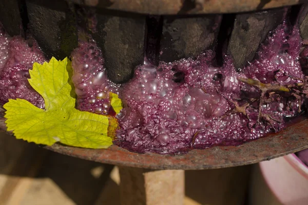 Elaboración Vino Tecnología Producción Vino Tradición Popular Hacer Vino Producción — Foto de Stock