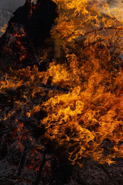 Lángoló Tűz Égő Ágai Pogány Rítus Szentelt Tavasz Érkezését Hatalmas — Stock Fotó