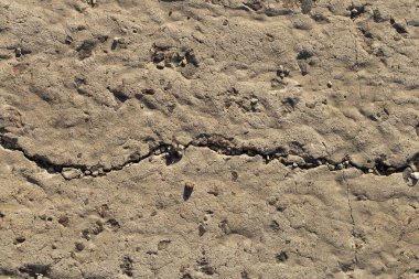 Evin duvarı. Beton kaplama. Çimento levha.