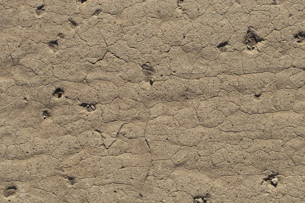 Wall of the house. Concrete coating. Cement slab.